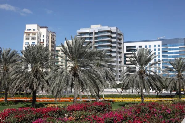 Palmeras y flores en Dubai, Emiratos Árabes Unidos — Foto de Stock