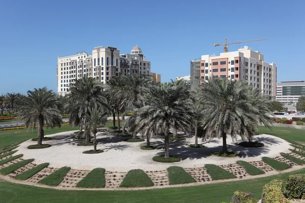 Palm Trees at a roundabout in Dubai, United Arab Emirates — Stock Photo, Image