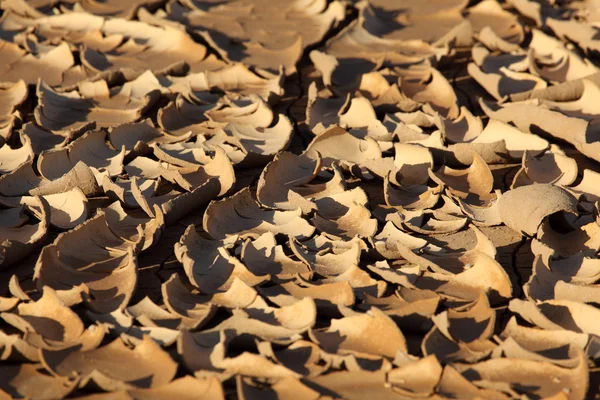 Suelo agrietado en el desierto — Foto de Stock