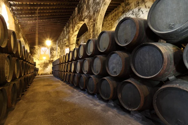 Oude wijn celler met houten vaten — Stockfoto