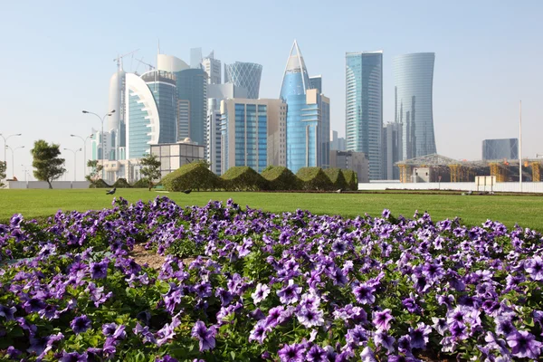 Blumen in doha downtown, qatar, Middle East — Stockfoto