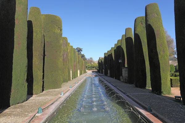 Jardins no Alcazar dos Monarcas Cristãos em Córdoba, Andaluzia Espanha — Fotografia de Stock