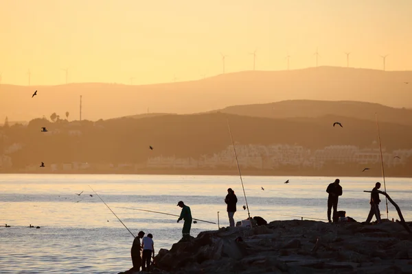 Kalastajat kohteessa Estepona, Costa del Sol, Andalusia, Espanja — kuvapankkivalokuva