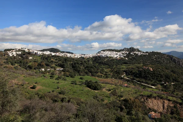 Village andalou lavé blanc Gaucin, Espagne — Photo