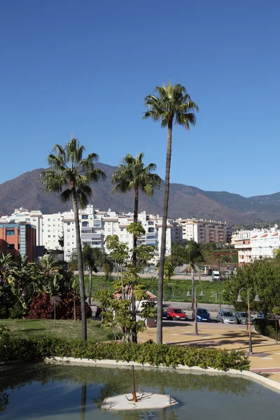 Palmy w Esteponie, costa del sol, Andaluzja, Hiszpania — Zdjęcie stockowe