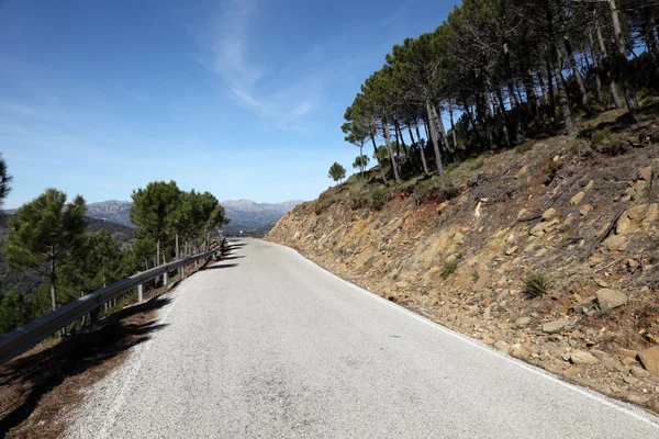 Estrada estreita nas montanhas da Serra Bermeja, Andaluzia, Espanha — Fotografia de Stock