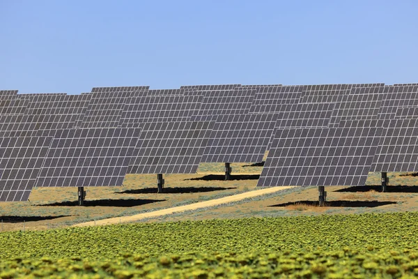 Pole fotovoltaických panelů, solární elektrárny — Stock fotografie