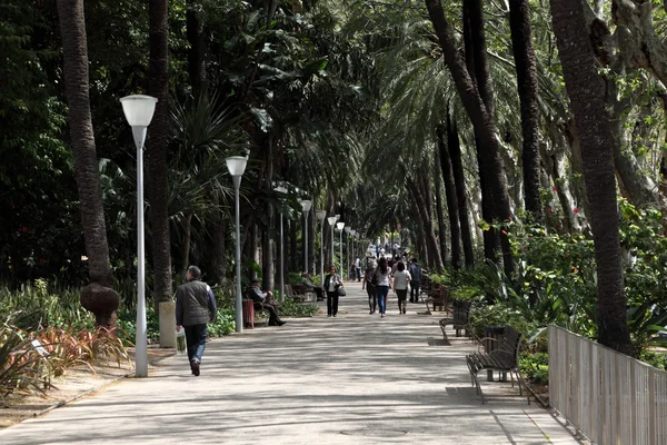 Paseo parque Malaga, İspanya Endülüs boyunca Şehir Parkı içinde gezinme — Stok fotoğraf