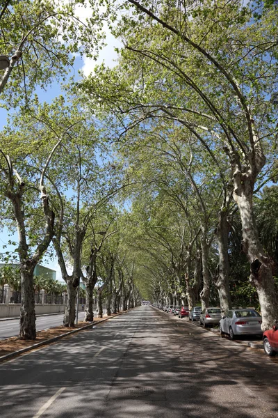 Alley in malaga, Andalusie Spanje — Stockfoto