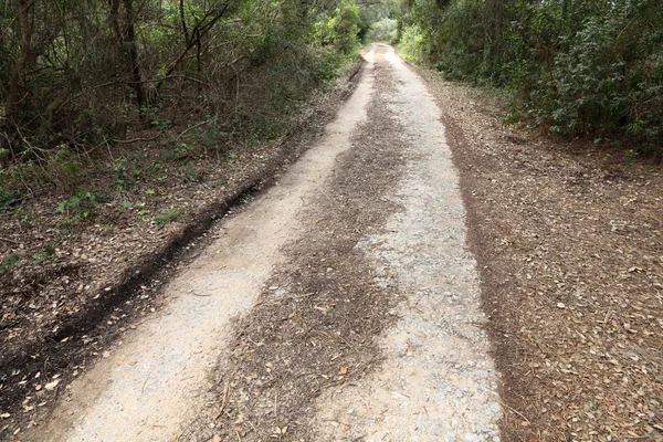 农村公路的安达卢西亚，西班牙 — 图库照片