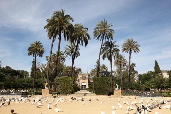 Maria Luisa Park in Seville, Andalusia Spain — Stock Photo, Image