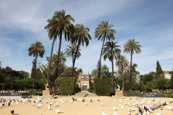 Maria Luisa Park Sevilla, Andalúzia, Spanyolország — Stock Fotó