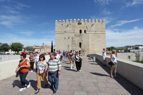 Туристы на древнем мосту с башней - Torre de la Calahorra в фоновом режиме. Кордова, Андалусия Испания — стоковое фото