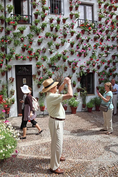 Typisk innergård (uteplats) i cordoba under festivalen av uteplatserna 2013. Cordoba, Andalusien Spanien — Stockfoto