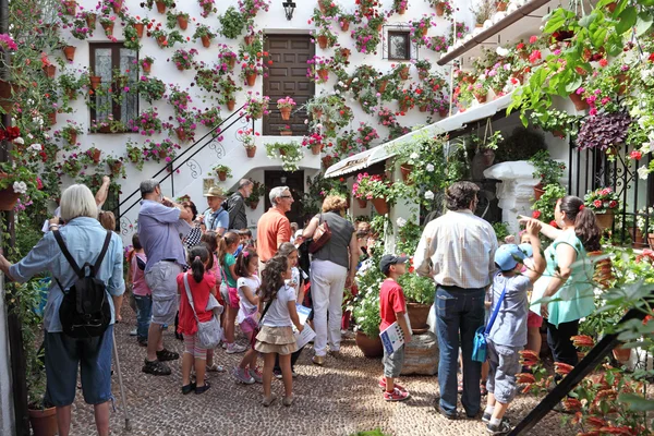 Typisk innergård (uteplats) i cordoba under festivalen av uteplatserna 2013. Cordoba, Andalusien Spanien — Stockfoto