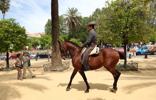 Cavaliere tradizionale andaluso a Cordova, Andalusia Spagna — Foto Stock