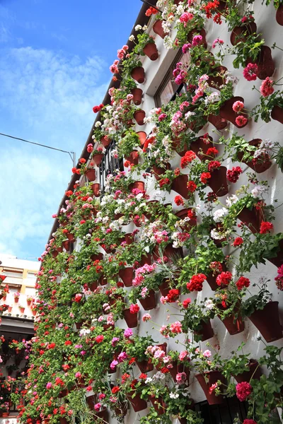 Casa decorada com vasos em Córdoba, Andaluzia Espanha — Fotografia de Stock