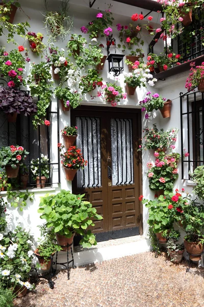 Typischer Innenhof in Córdoba während des Festivals los patios 2013. Andalusien, Spanien — Stockfoto