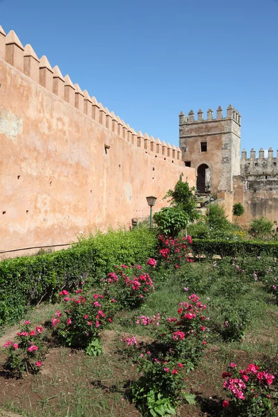 Trädgård av udayas kasbah i rabat, Marocko — Stockfoto