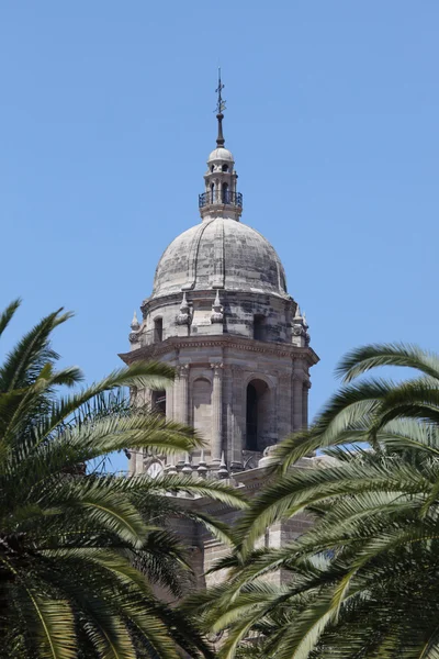 Klocktornet av katedralen malaga. Andalusien Spanien — Stockfoto