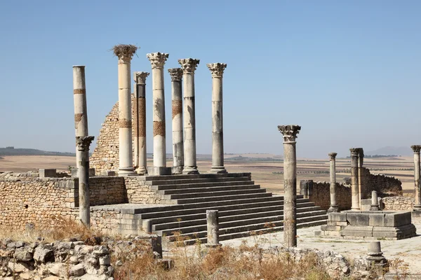 The Capitoline Temple in Volubilis, Morocco, North Africa — Stock Photo, Image