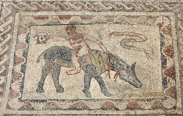 Ancient Roman mosaic in Volubilis, Morocco, North Africa — Stock Photo, Image