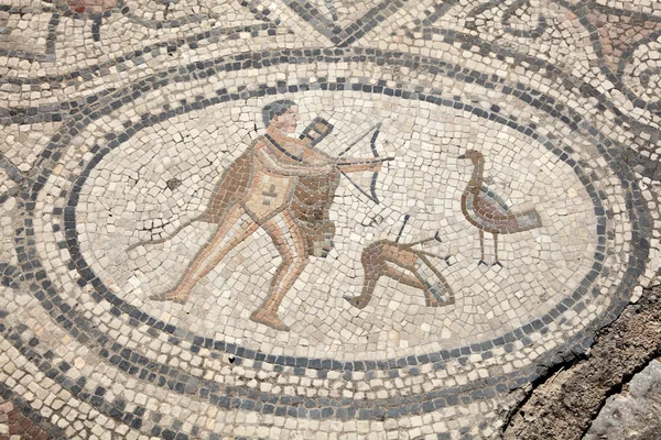 Starověké římské mozaiky v volubilis, Severní Afrika, Maroko, — Stock fotografie