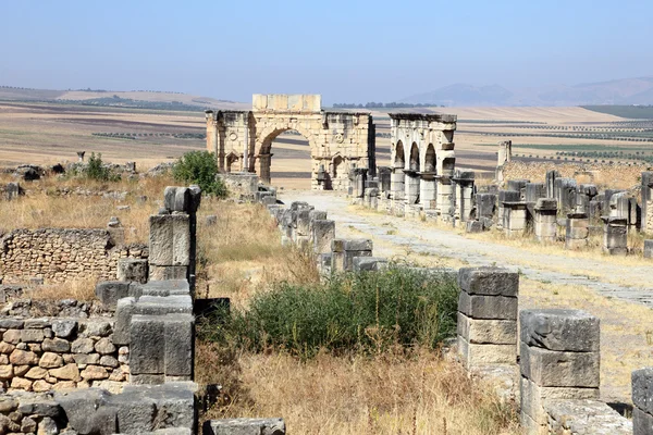 Roman ruins in Volubilis, Morocco, North Africa — Stok fotoğraf