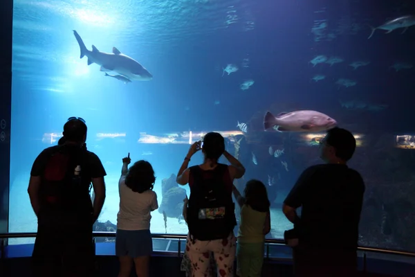 Visiteurs à l'aquarium de L'Oceanografic, Valencia Espagne — Photo