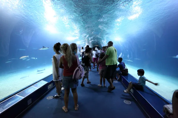 Bezoekers binnenkant van de glazen tunnel voor L'Oceanografic aquarium in Valencia, Spanje — Stockfoto