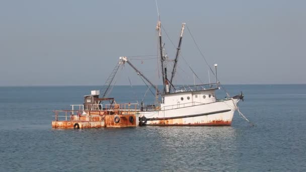 Old fishing trawler in Doha, Qatar — Stock Video