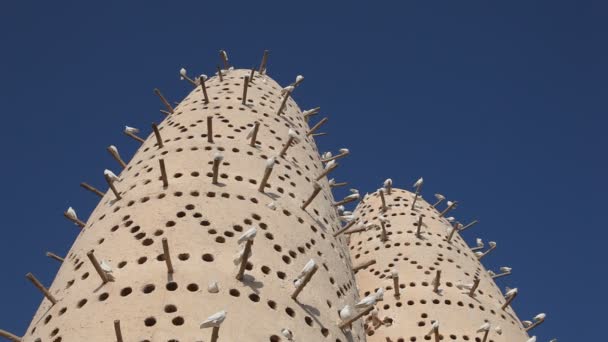 Torre de palomas en Doha, Qatar — Vídeos de Stock