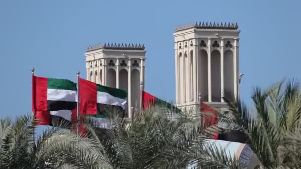 Banderas de los Emiratos Árabes Unidos — Vídeo de stock