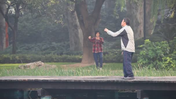 Tai Chi într-un parc. Shanghai, China — Videoclip de stoc
