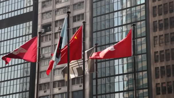 Flags in Hong Kong — Stock Video