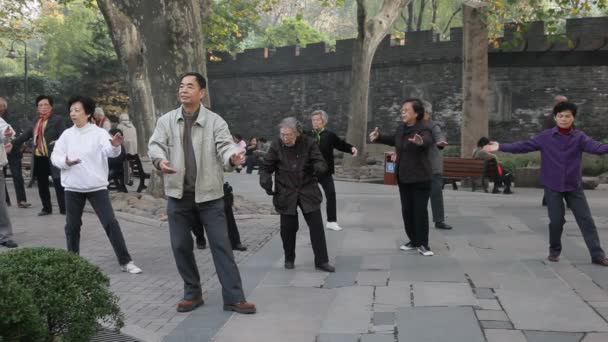 Tai Chi dans un parc. Shanghai, Chine — Video