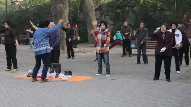 Tai Chi num parque. Xangai, China — Vídeo de Stock