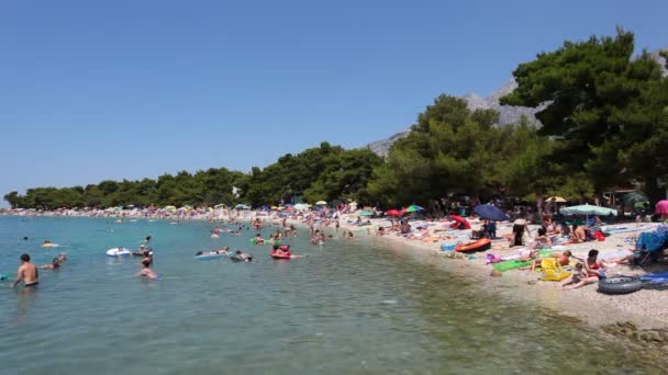 Stranden i Kroatien — Stockvideo