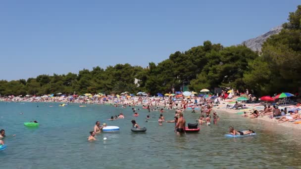 Пляж в Хорватии — стоковое видео