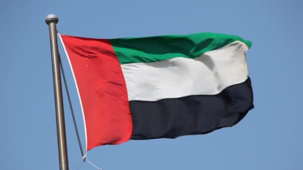 Bandera de Emiratos Árabes Unidos — Vídeos de Stock