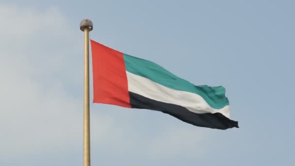 Bandera de Emiratos Árabes Unidos — Vídeo de stock