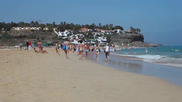 フェルテベントゥラ島のスペインのビーチ — ストック動画