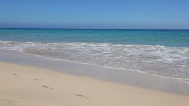 在富埃特文图拉，西班牙的寂寞海滩 — 图库视频影像