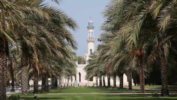 Алея з пальмами в місті Muscat — стокове відео