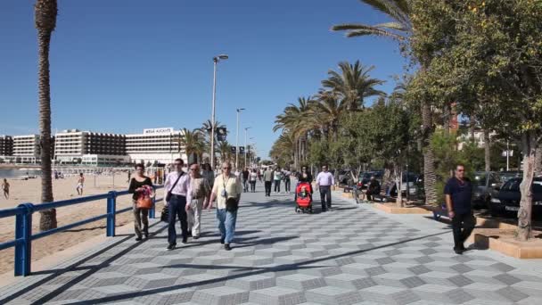 Promenade of Alicante, Catalonia, Spain — Stock Video