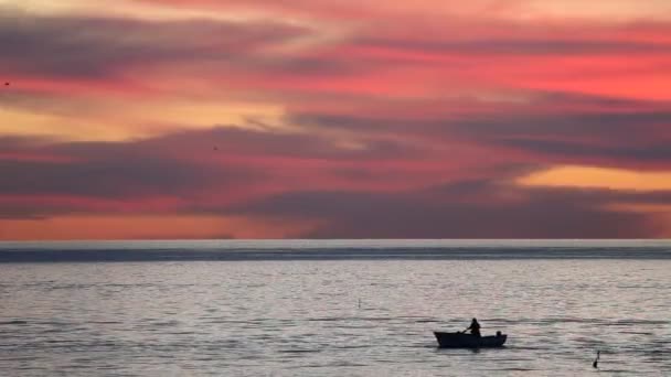 Sabahleyin balıkçı tekneleri — Stok video