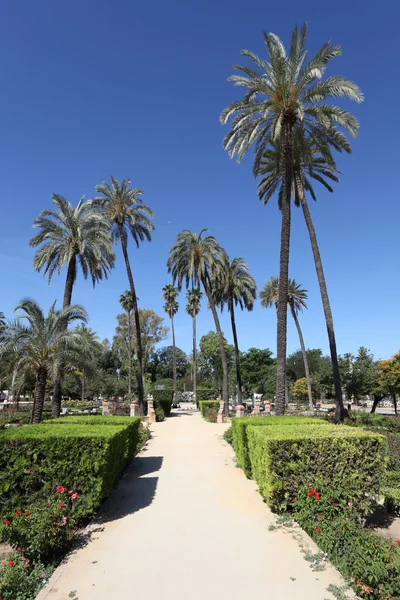 Parque Maria Luisa em Sevilha, Espanha — Fotografia de Stock