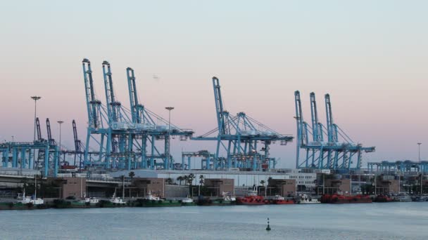 Container Harbor Of Algeciras, Spain — Stock Video