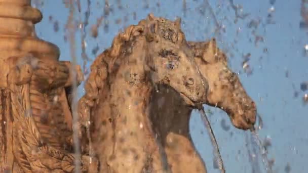 Hästar staty fontän — Stockvideo