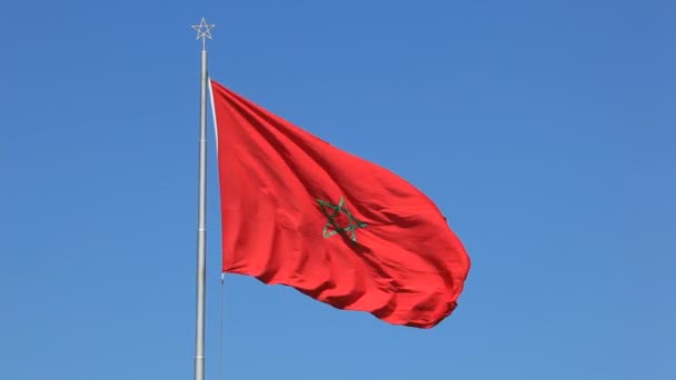 Moroccan flag — Stock Video